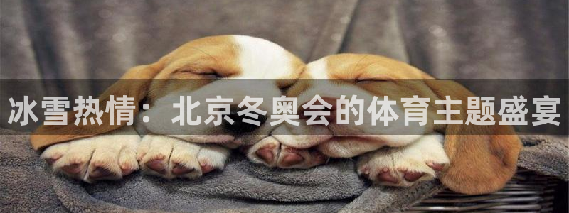 企鹅体育注册
