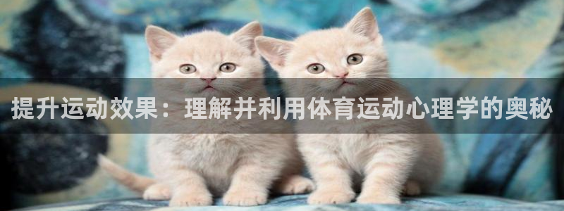 企鹅体育微博