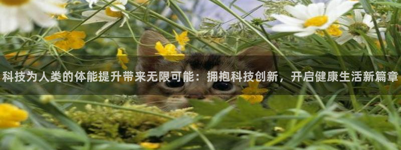 企鹅体育不能看棒球