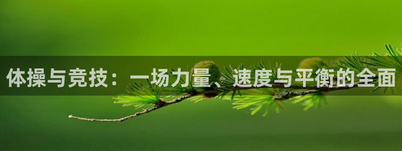 企鹅体育频道直播排球比赛