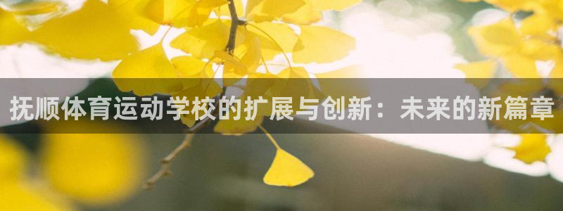 企鹅体育排球：抚顺体育运动学校的扩展与创新：未来的新篇章