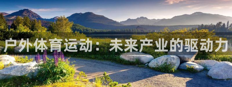 企鹅体育鹅蛋是干嘛的