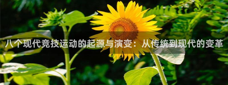 企鹅体育女排