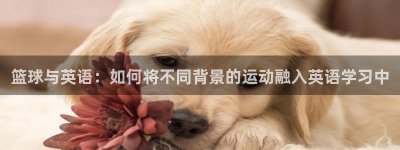 企鹅体育招聘：篮球与英语：如何将不同背景的运动融入英语学习中