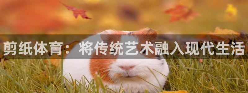 企鹅体育直播免费观看完整版：剪纸体育：将传统艺术融入现代生活